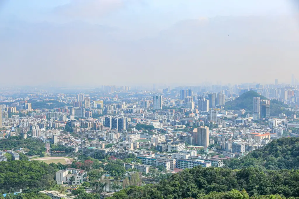 沙坪坝区居家用品市场分析：童月依百货店2024年热门家居好物盘点