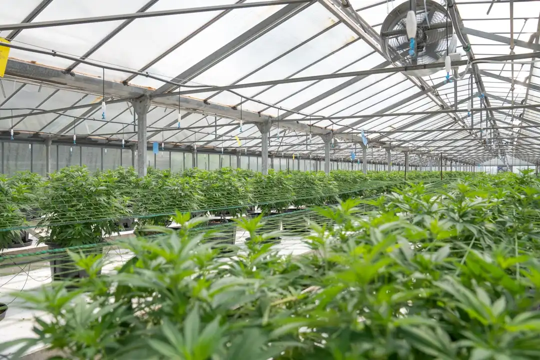 重庆沙坪坝日用百货选购指南：居家好物性价比对比分析